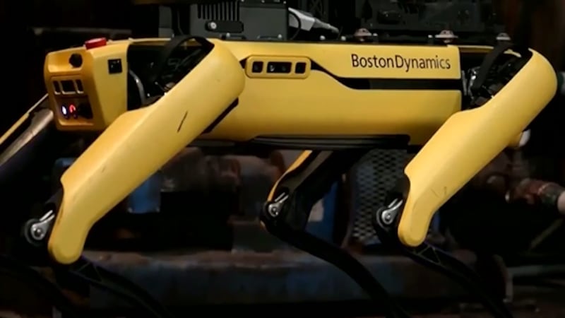Los dispositivos contemplados son robots tipo “Spot”, desarrollados por la empresa Boston...