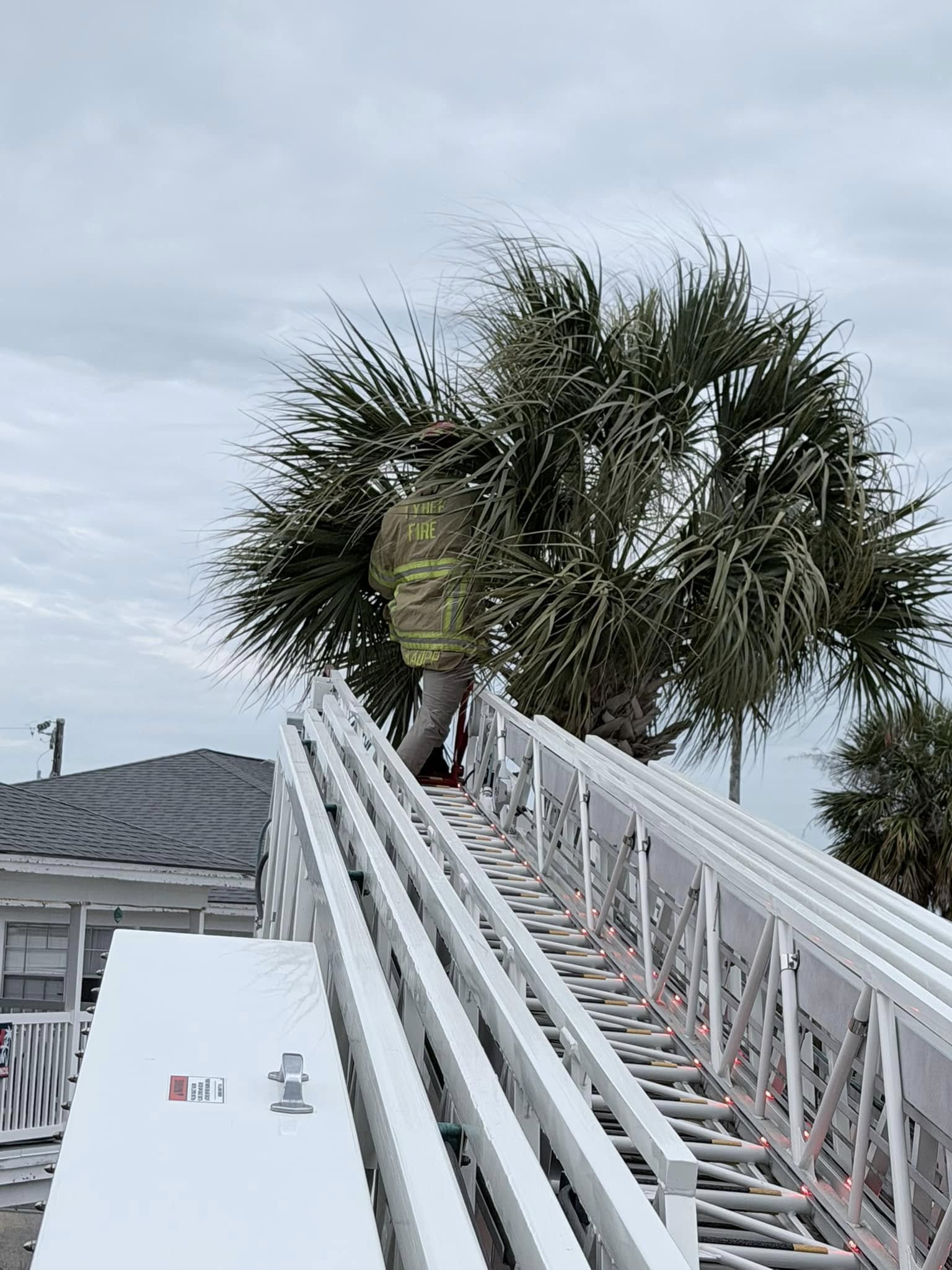 Rescate en las alturas con un final feliz en Tybee Island.