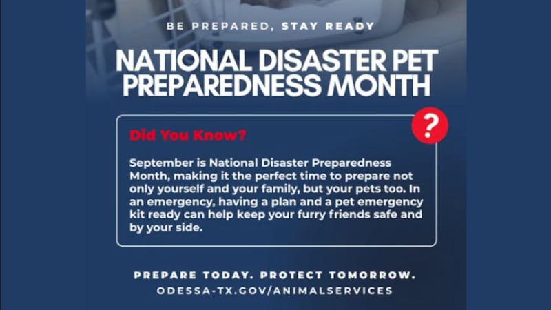 Las autoridades recomiendan a las familias preparar con anticipación un kit de emergencia para...