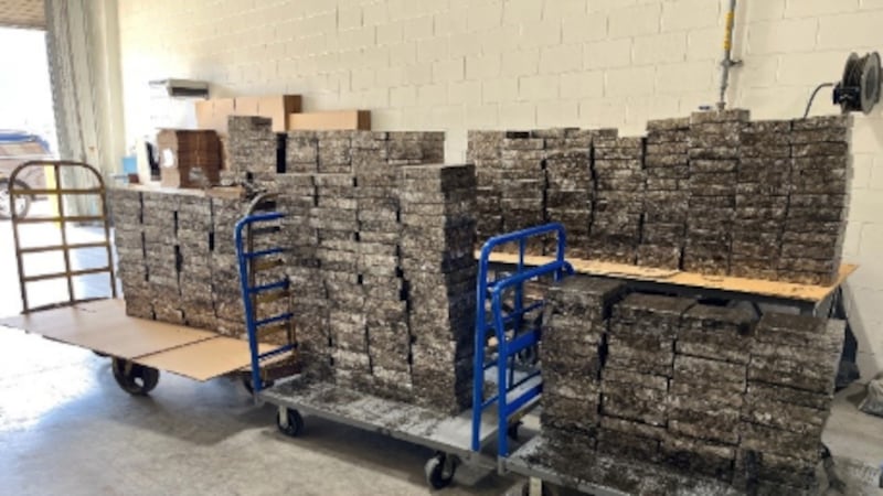 El conductor, Diego Méndez, de 32 años, de Alton, Texas, fue detenido y acusado de posesión de...