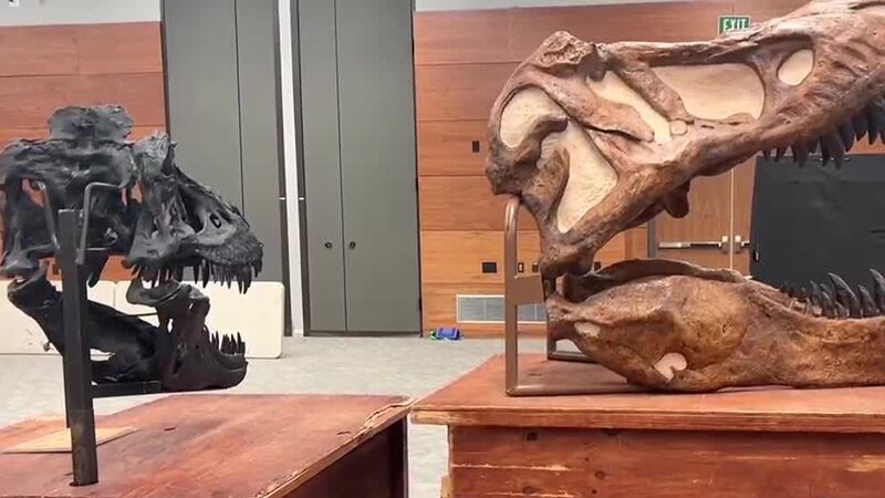 “Dinosaurio George” trae maravillas prehistóricas a Midland