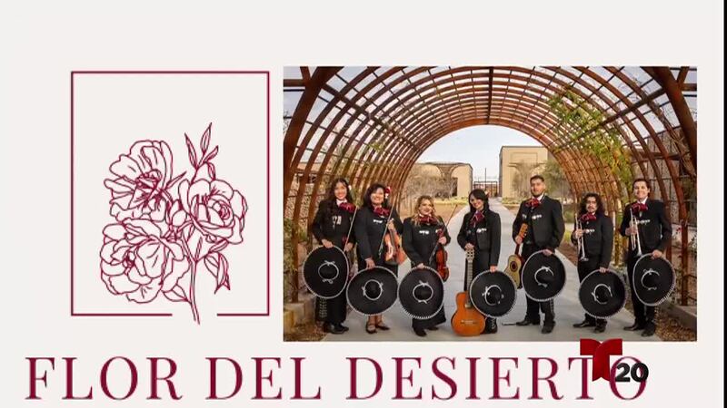 FLOR DEL DESIERTO