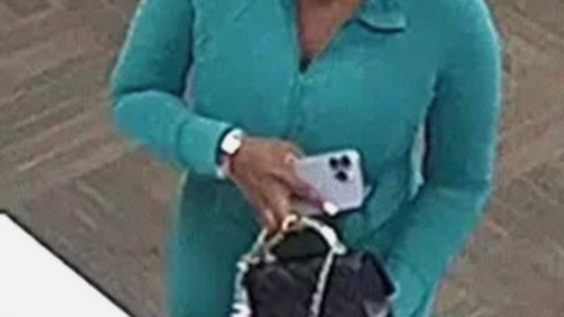 Estos dos sospechosos también cometieron el mismo delito en varias tiendas de Odessa días antes.
