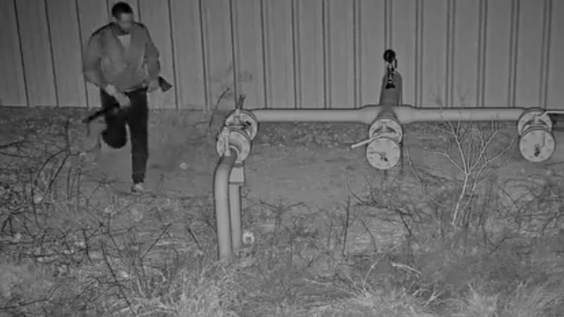 Los agentes pudieron conocer que un hombre desconocido, vestido con una chaqueta de color...