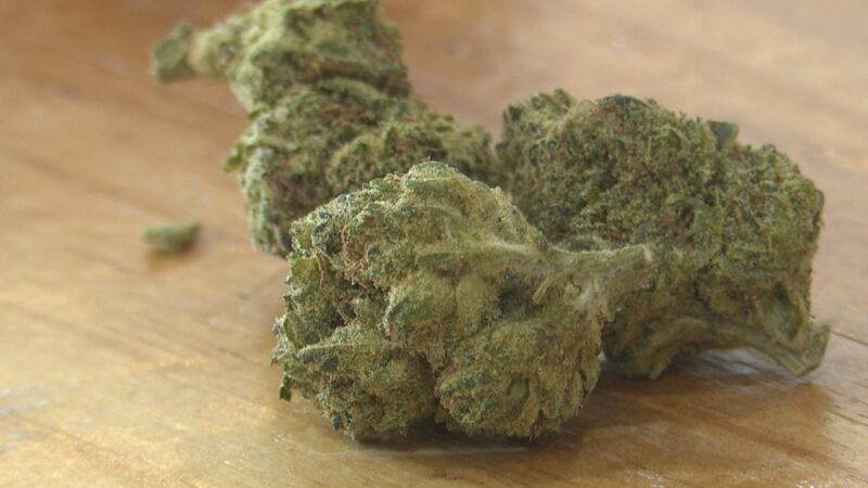 Abbott firmará la ley que prohíbe el THC antes de la fecha límite del domingo.