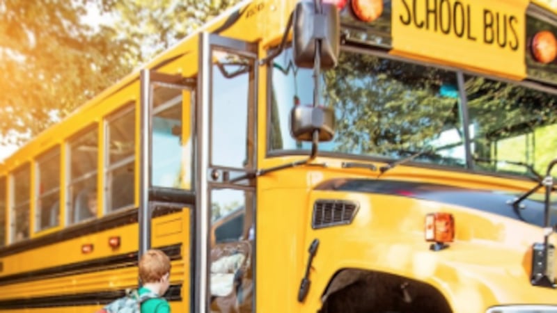 Entre 2015 y 2024 se registraron 962 accidentes fatales relacionados con autobuses escolares...