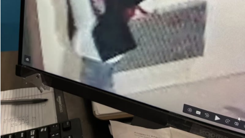 Se ofrecerá una recompensa en efectivo a la primera persona que proporcione información que...