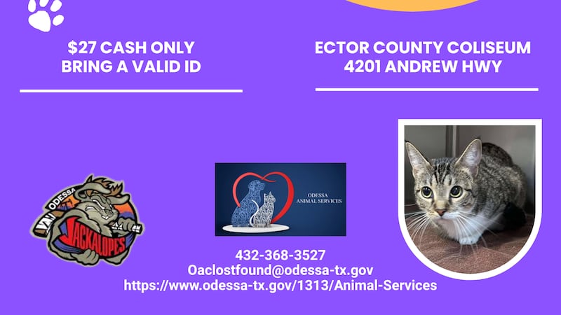 ¡La Ciudad de Odessa tiene una semana muy ocupada por delante!