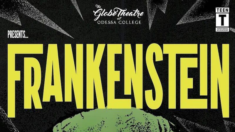 La obra sigue la historia de Victor Frankenstein, un joven científico cuya obsesión por vencer...