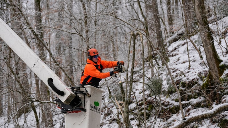 Austin Bradbury usa una motosierra para talar un árbol sobre una carretera el viernes 30 de...