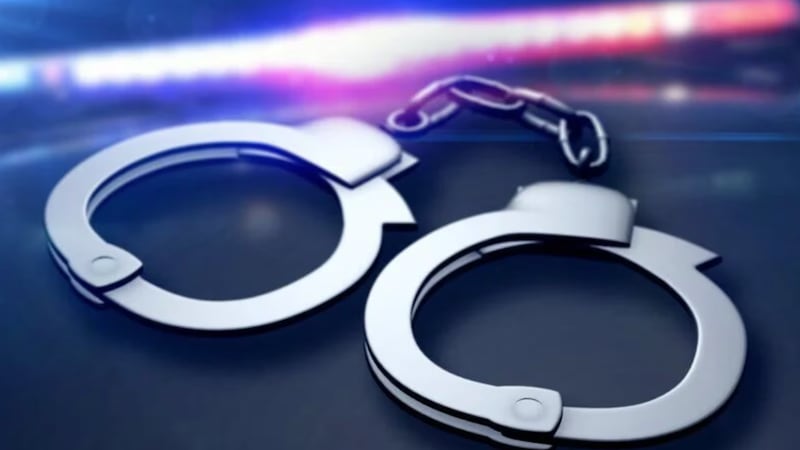 Se facilitó a los agentes su información identificativa y detalles sobre el coche que se creía...