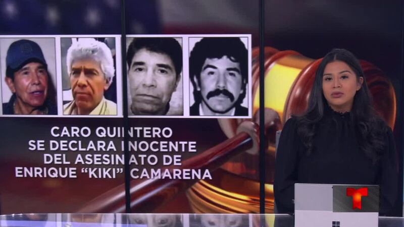 Un aumento de muertes de abejas está perjudicando a los colmeneros de Texas y podría afectar...