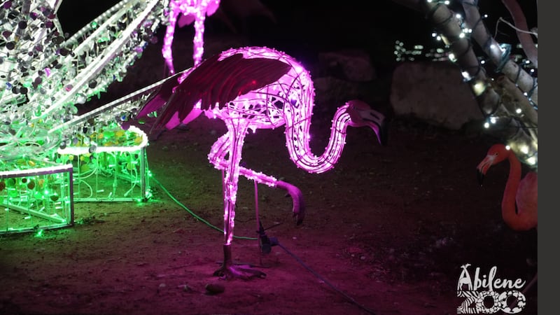 Con un horario ampliado, el zoológico estará abierto desde las 9 de la mañana hasta las 9 de...