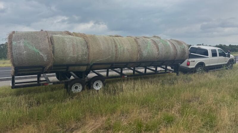 Autoridades frustran intento de tráfico de personas después de encontrar varias personas...