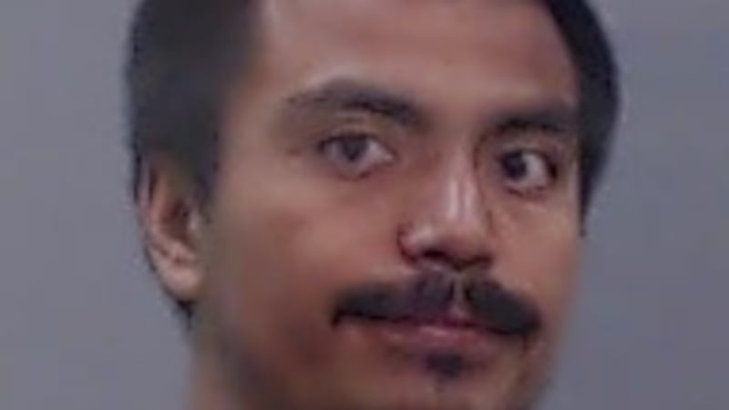 Noriega Jr. fue acusado de maltrato a animales no destinados al ganado.