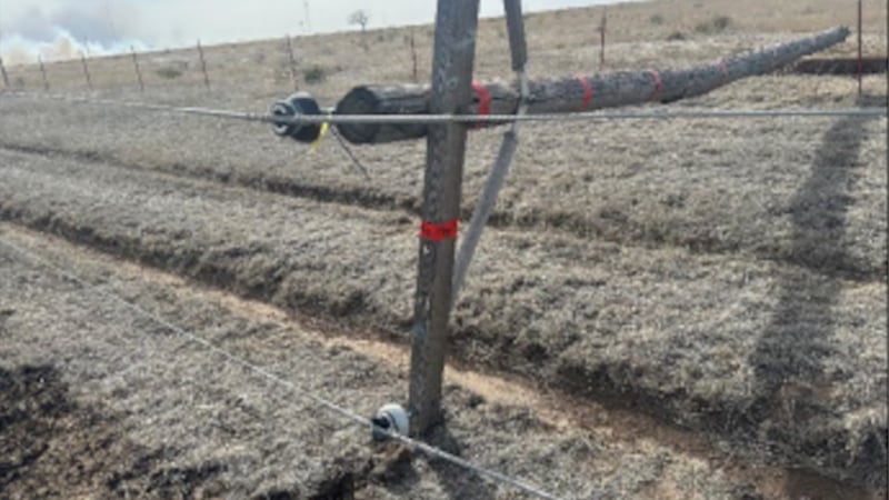 El incendio de Smokehouse Creek fue el mayor incendio en la historia de Texas. Provocó tres...