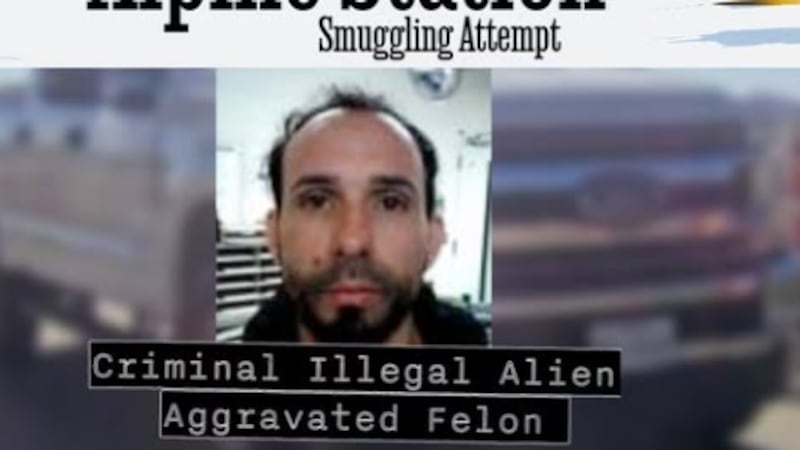 Los agentes encontraron a 11 migrantes escondidos en el vehículo