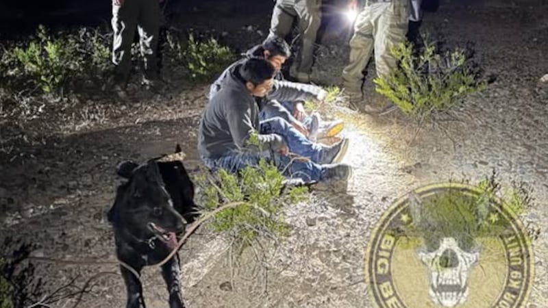 Después de la larga caminata, Lucy alertó sobre una zona con maleza, y los agentes se...