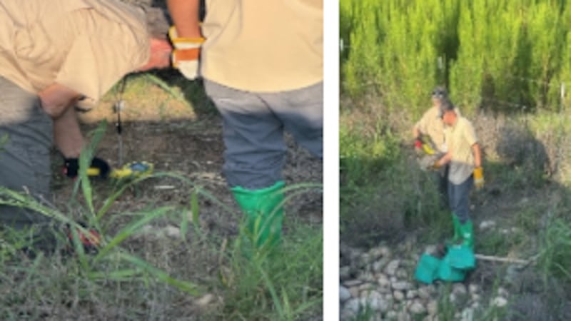 DPS destacó que la operación demuestra la importancia de la colaboración entre agencias para...