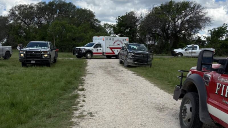 Los propietarios de los caballos sufrieron numerosas picaduras de abeja al intentar alejarlos...