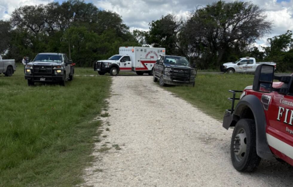 The owners of the horses sustained numerous bee stings attempting to move the horses away from...
