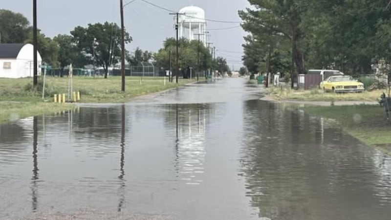 Aunque las recientes lluvias han aportado humedad, tambien han creado condiciones de...