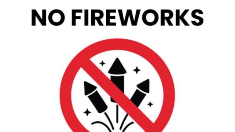 "La forma más segura de celebrarlo es dejar los fuegos artificiales en manos de los...