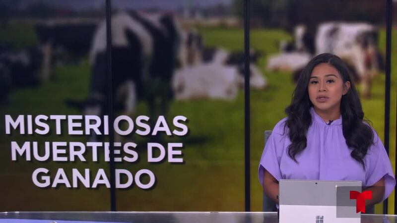 Las noticias locales, del estado y nacionales con Vanesa Olvera.