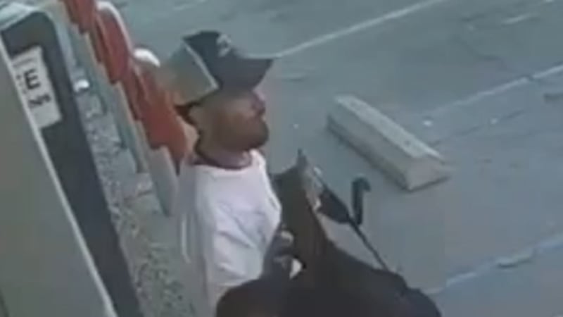 El sospechoso robó el bolso de la víctima y aparatos electrónicos por valor de aproximadamente...