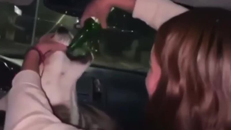 MÉXICO | Caso de maltrato animal indigna a muchos: video muestra a joven obligando a un perro...