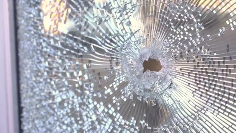 Actriz Vanessa Guzmán vivió un susto tras contar que un balazo de su vecino impactó en su...